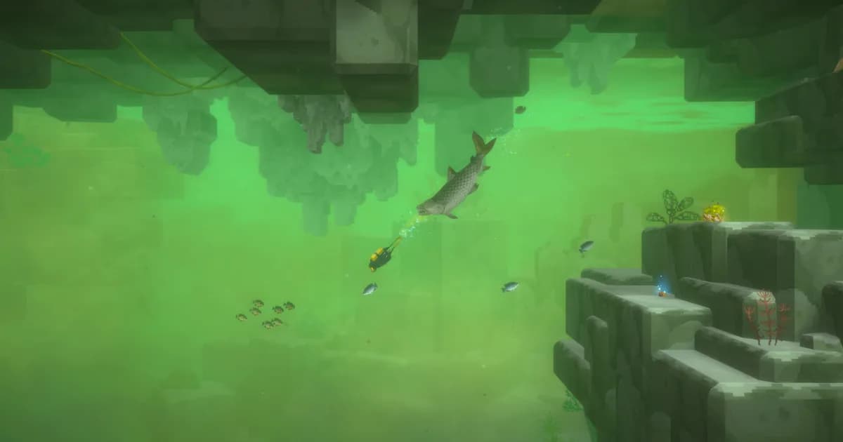 Dave the Diver Wild Boar Guide: New August Update 2026